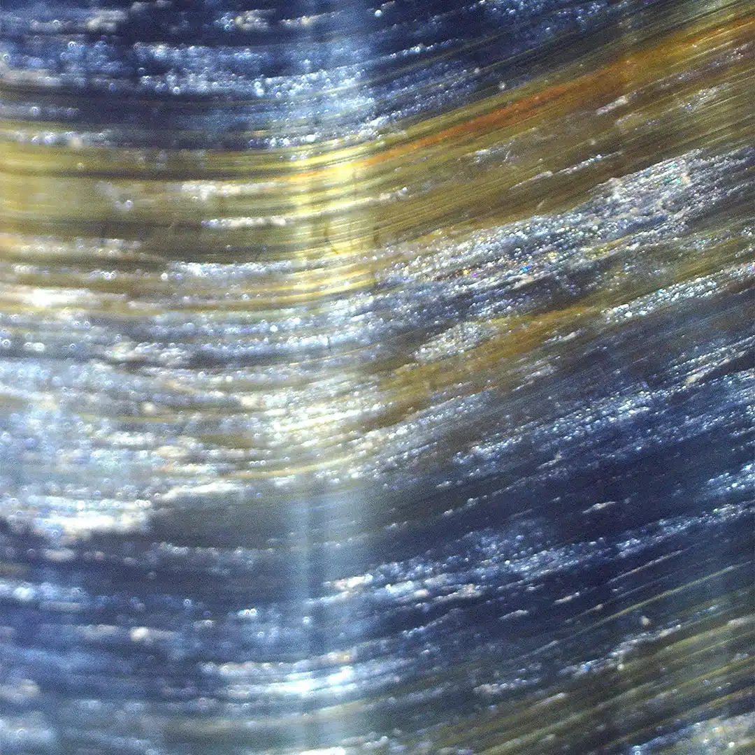 Falkenauge unter dem Mikroskop