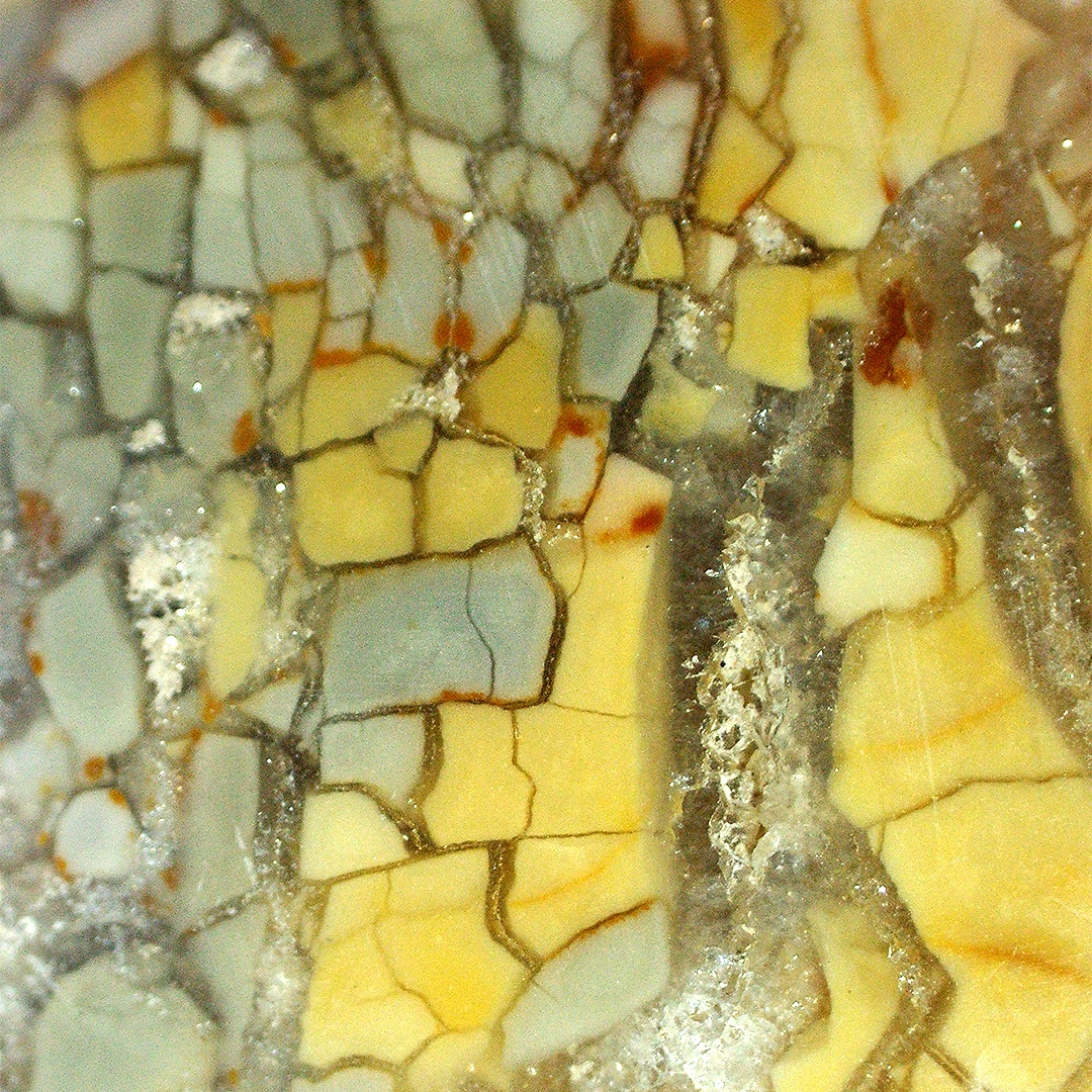 Ibis-Jaspis unter dem Mikroskop
