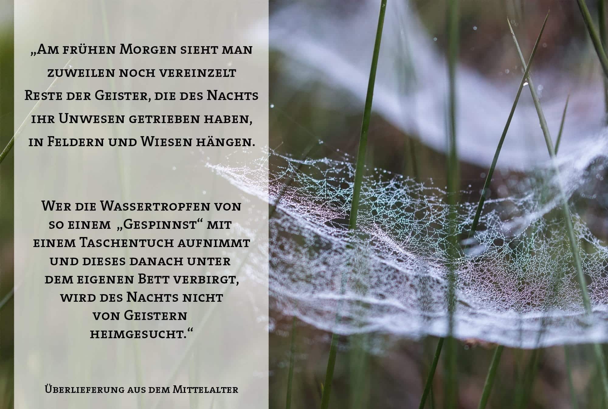 „Am frühen Morgen sieht man zuweilen noch vereinzelt Reste der Geister, die des Nachts ihr Unwesen getrieben haben, in Feldern und Wiesen hängen. Wer die Wassertropfen von so einem „Gespinnst“ mit einem Taschentuch aufnimmt und dieses danach unter dem eigenen Bett verbirgt, wird des Nachts nicht von Geistern heimgesucht.“