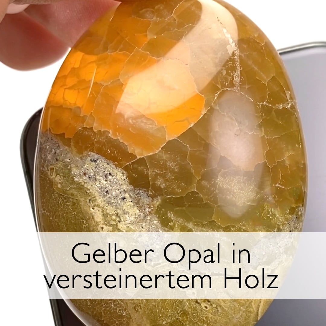 Gelb opalisiertes Holz