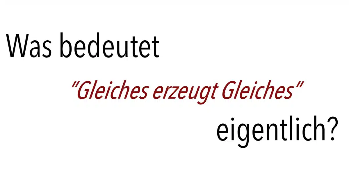 „Was bedeutet „Gleiches erzeugt Gleiches“ eigentlich?“