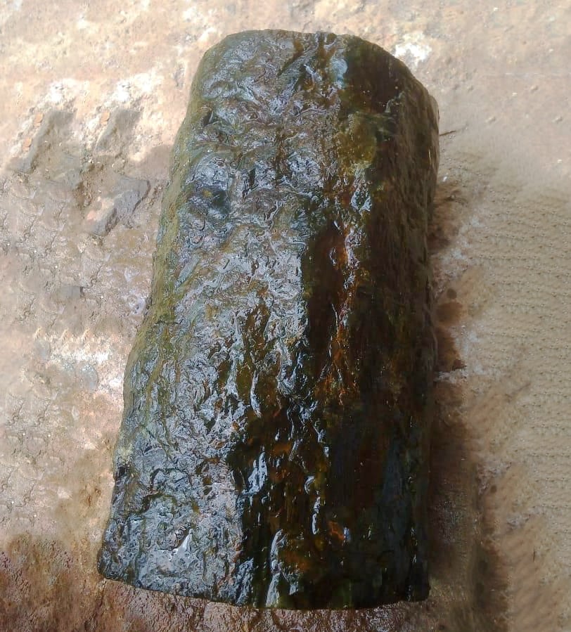 Grünes versteinertes Holz aus Indonesien