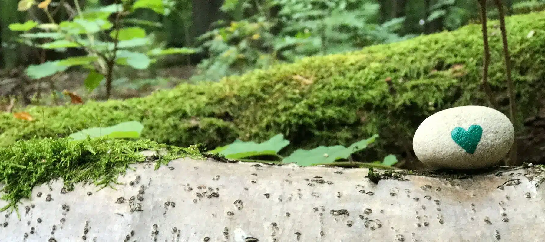 Informationen über die Magie