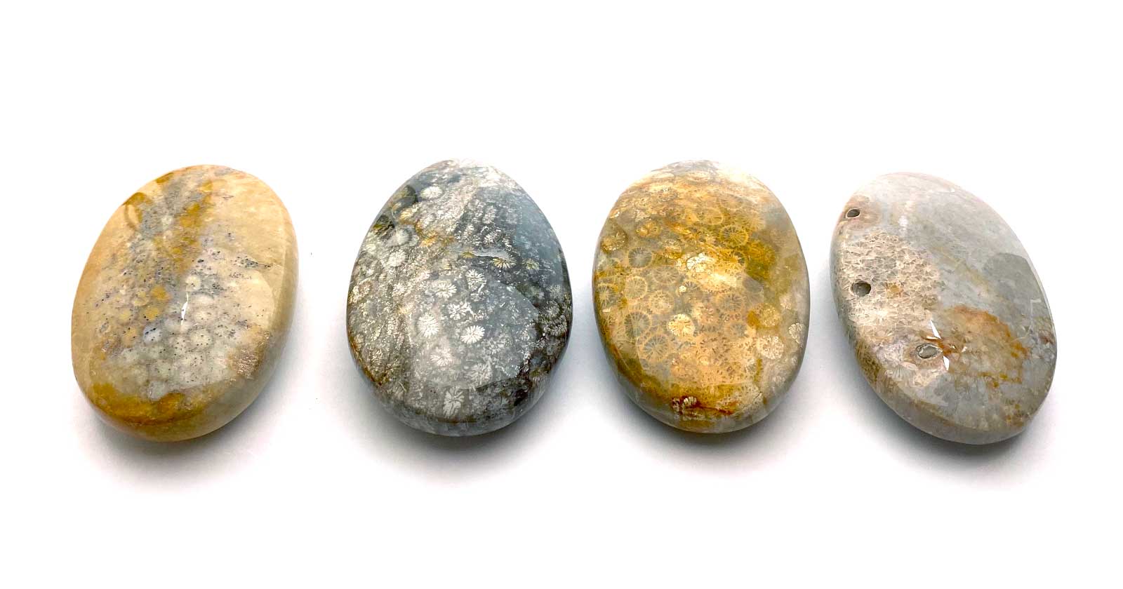 Handschmeichler Versteinerte Koralle Glücksstein Halbedelstein Edelstein Trommelstein Handschmeichler Versteinerte Koralle Glücksstein Halbedelstein Edelstein Trommelstein