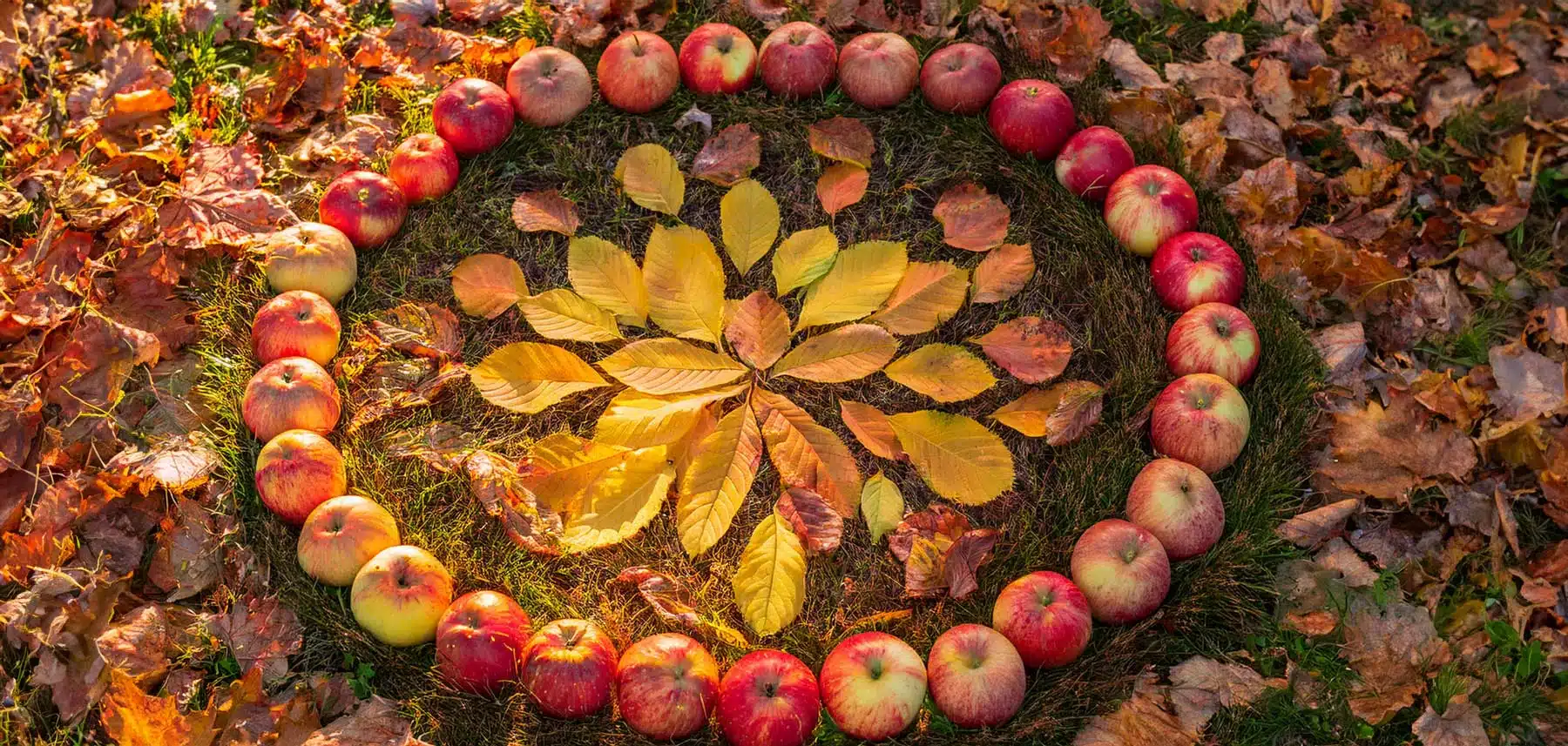 Herbst-Mandala