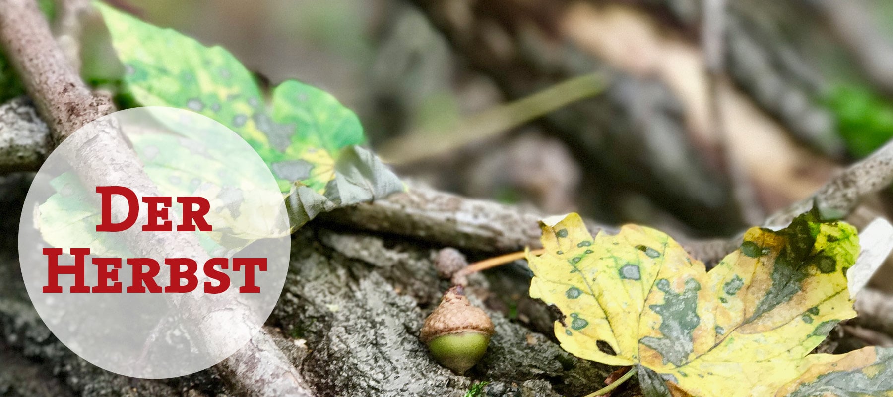 Der Herbst in der Magie Der Herbst in der Magie