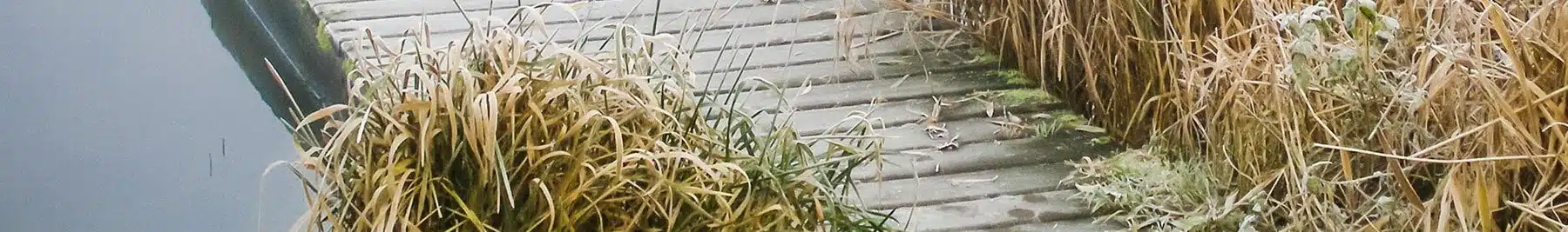 Der Januar in der Magie - Magie der Monate - unten