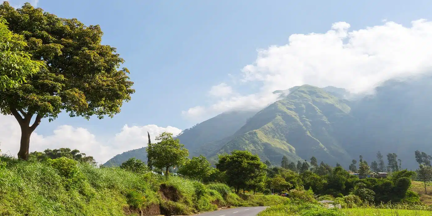 Hintergrund-Informationen über Kraftsteine Unsere Steine und Mineralien aus Indonesien