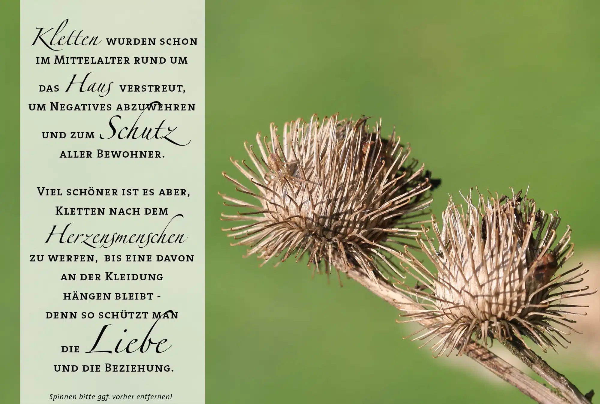 Kletten-Zauber für die Liebe