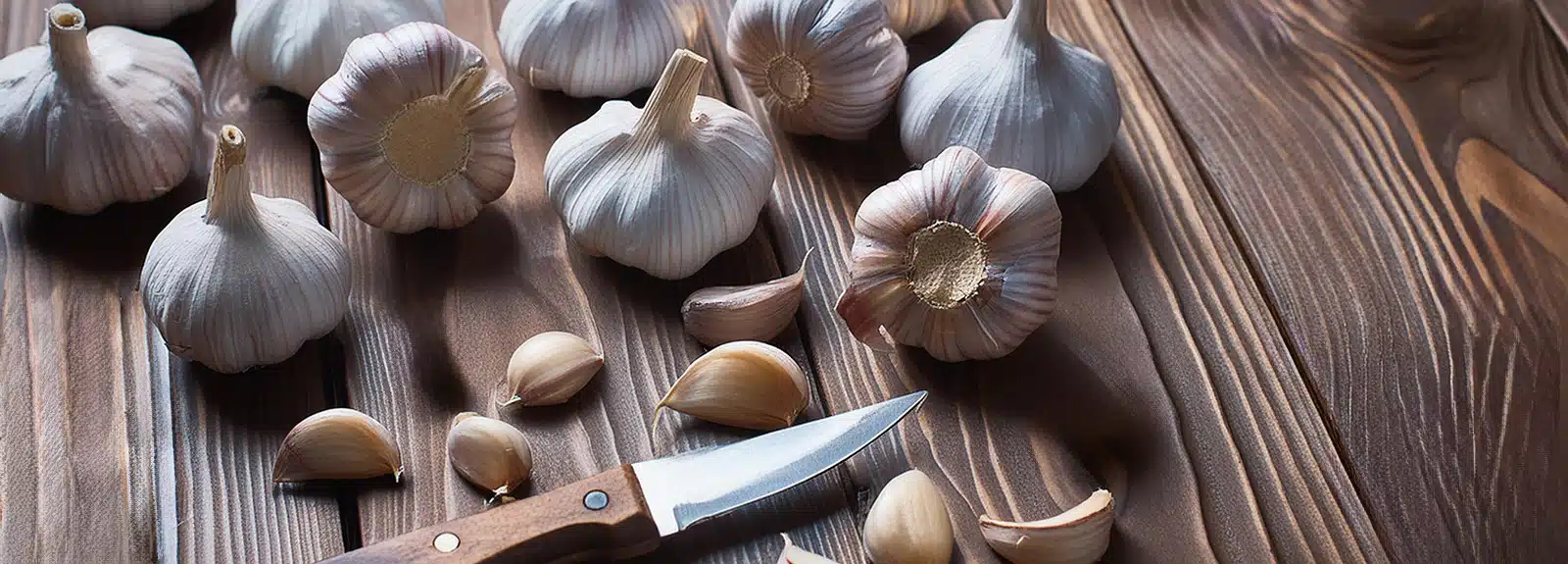 Knoblauch in der Magie Knoblauch in der Magie