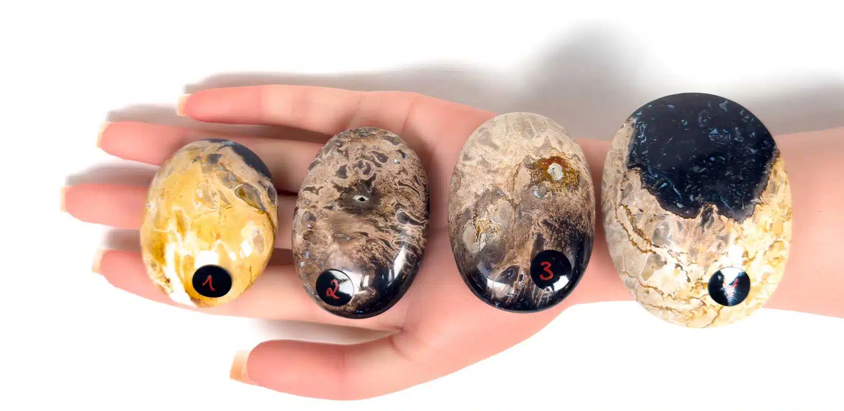 Kraftstein-Handschmeichler - versteinertes Palmholz