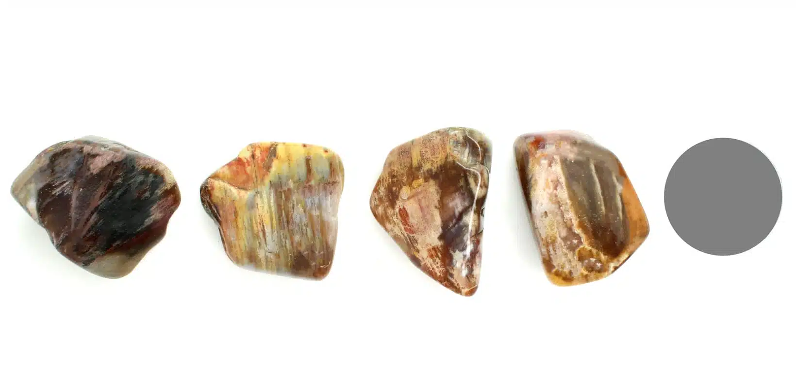 Kraftstein Versteinertes Holz - Trommelstein Glücksstein Handstein Handschmeichler