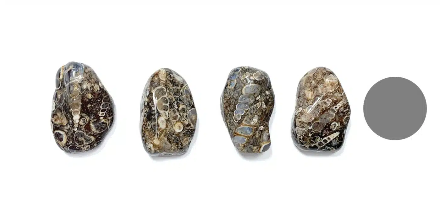 Kraftstein Turritella-Achat - Trommelstein Glücksstein Handstein Handschmeichler