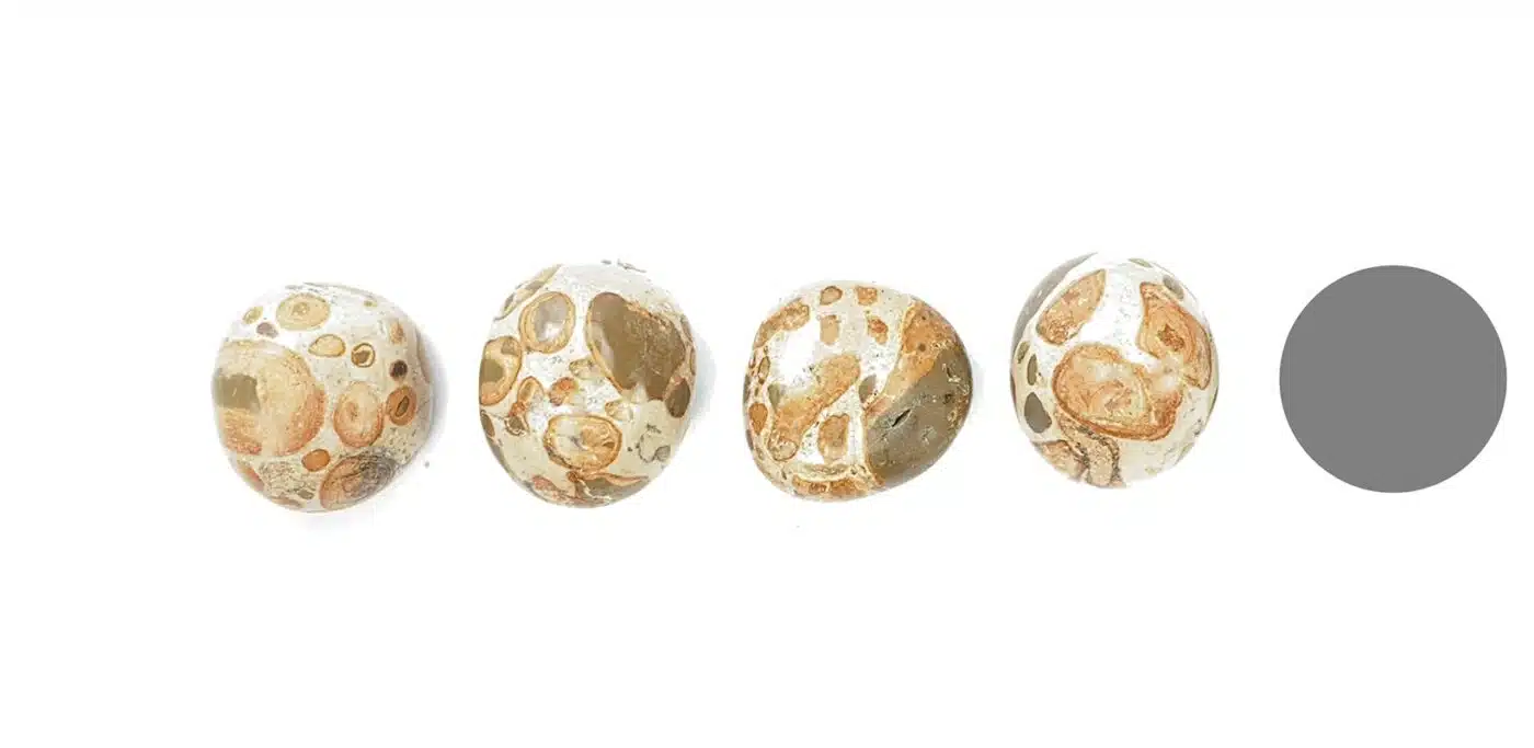 Kraftstein Leopardit - Trommelstein Glücksstein Handstein Handschmeichler