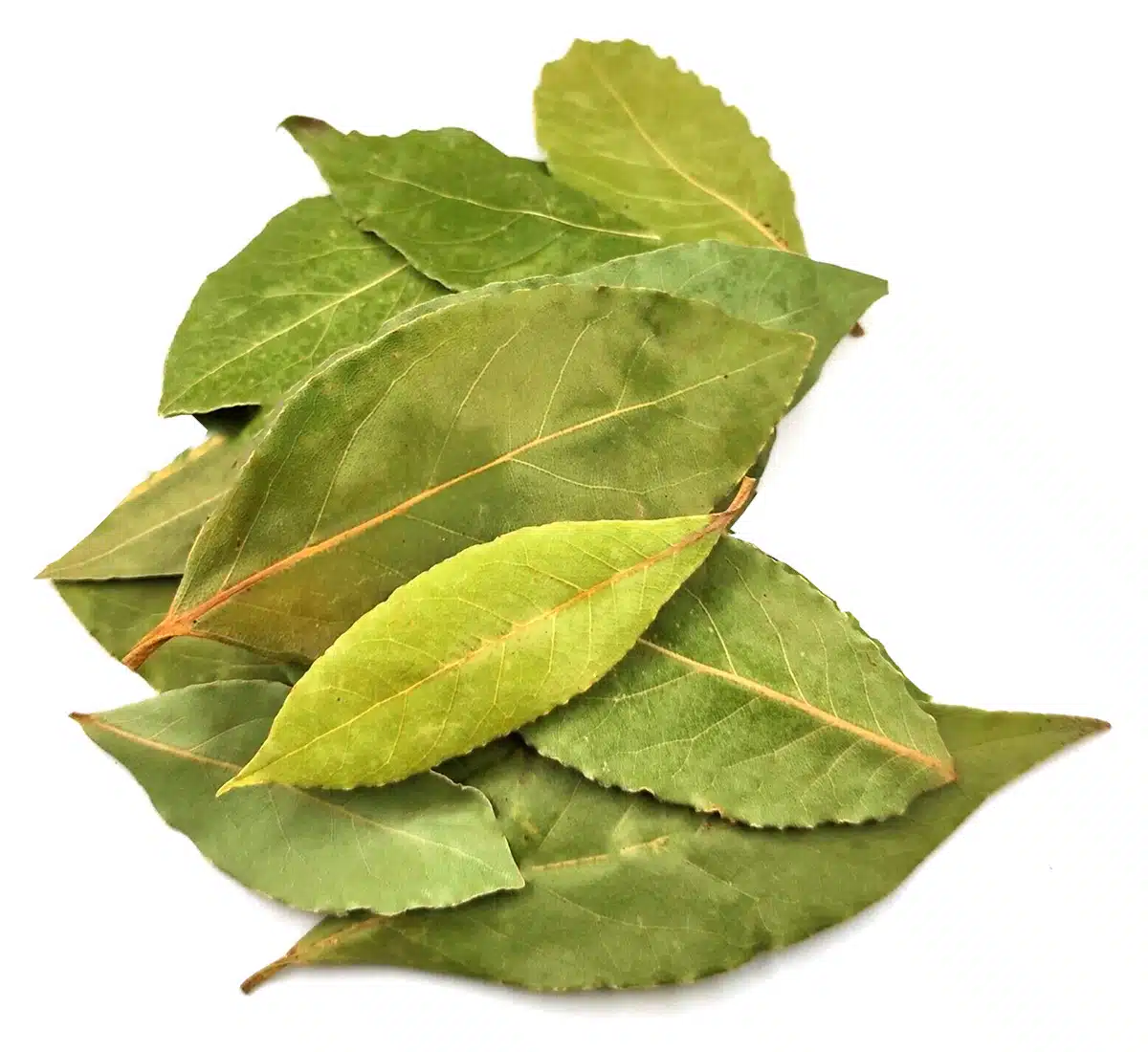 Lorbeer in der Magie