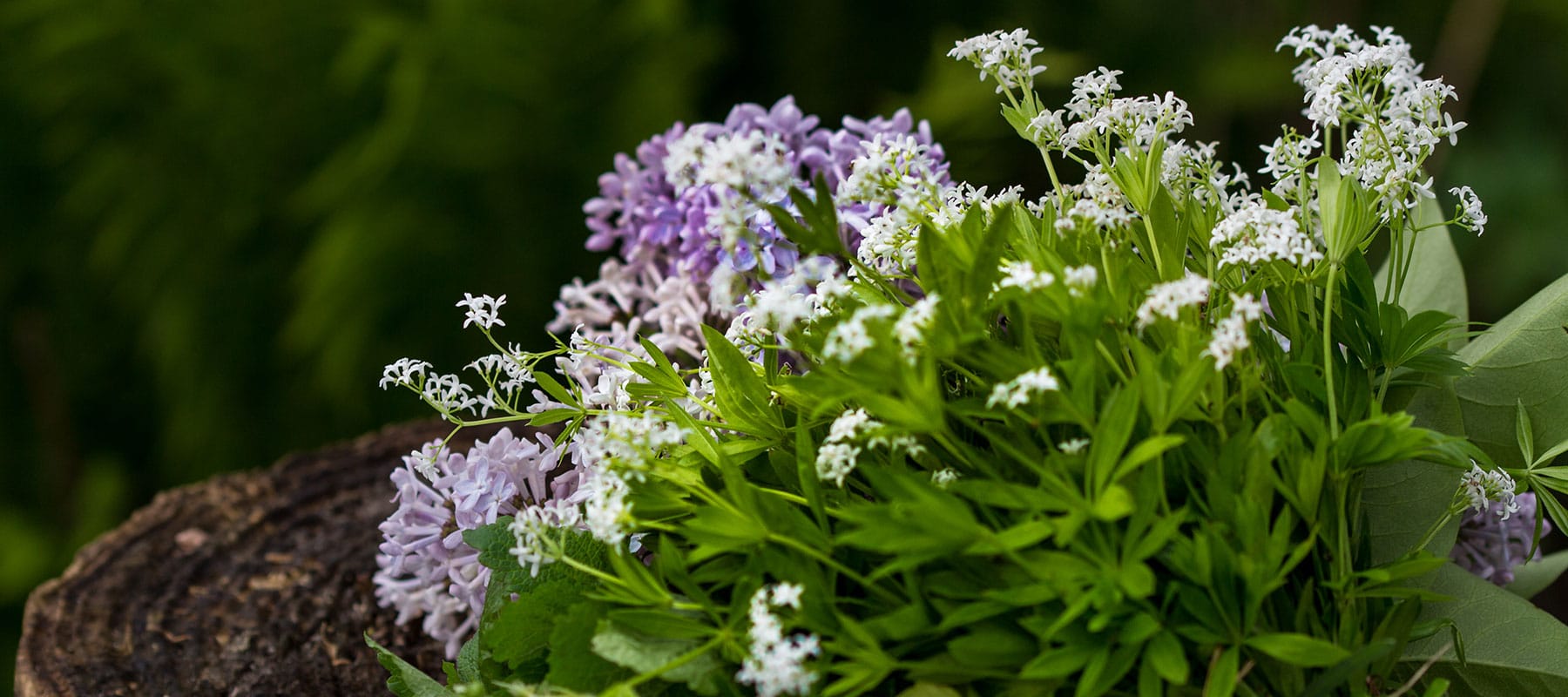 Mai-Blumen zur Maifeier