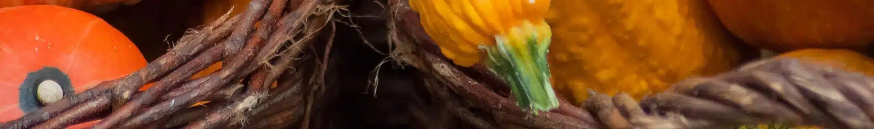 Der Oktober in der Magie - Magie der Monate - unten