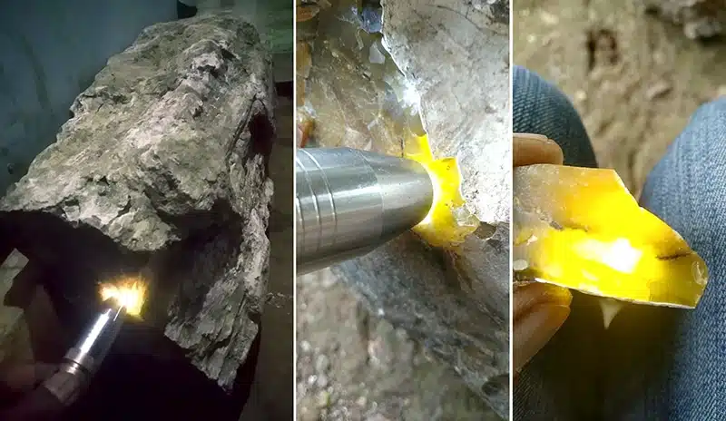 Opalisierter Baumstamm