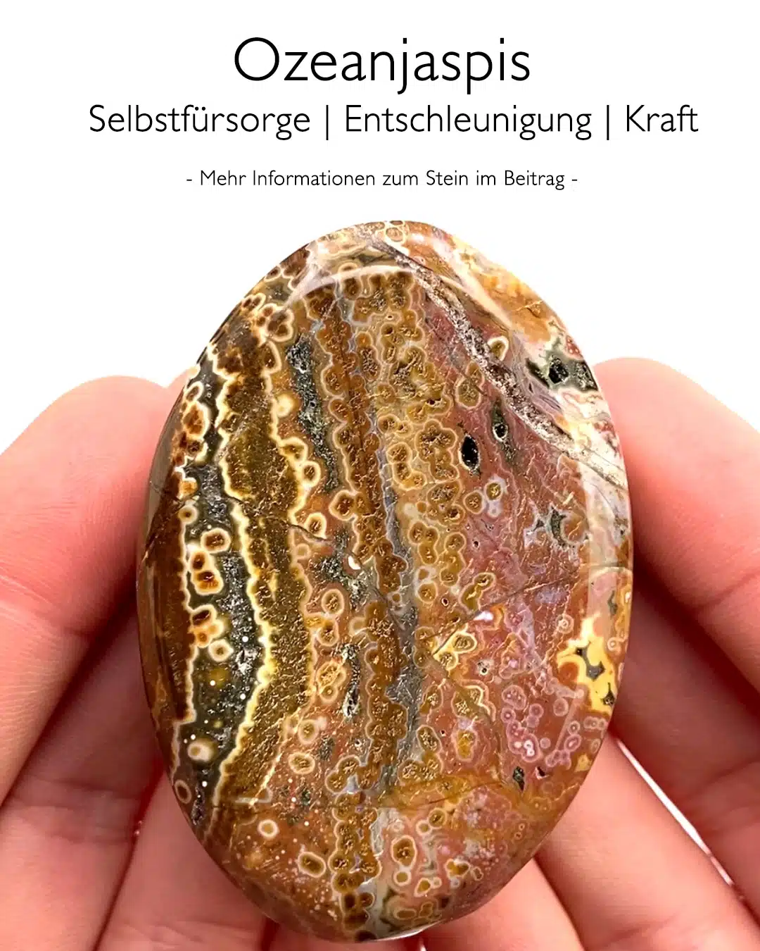 Ozeanjaspis aus Indonesien