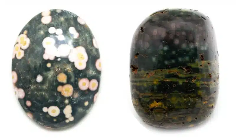 Ozeanjaspis-Vergleich Ozeanjaspis-Vergleich