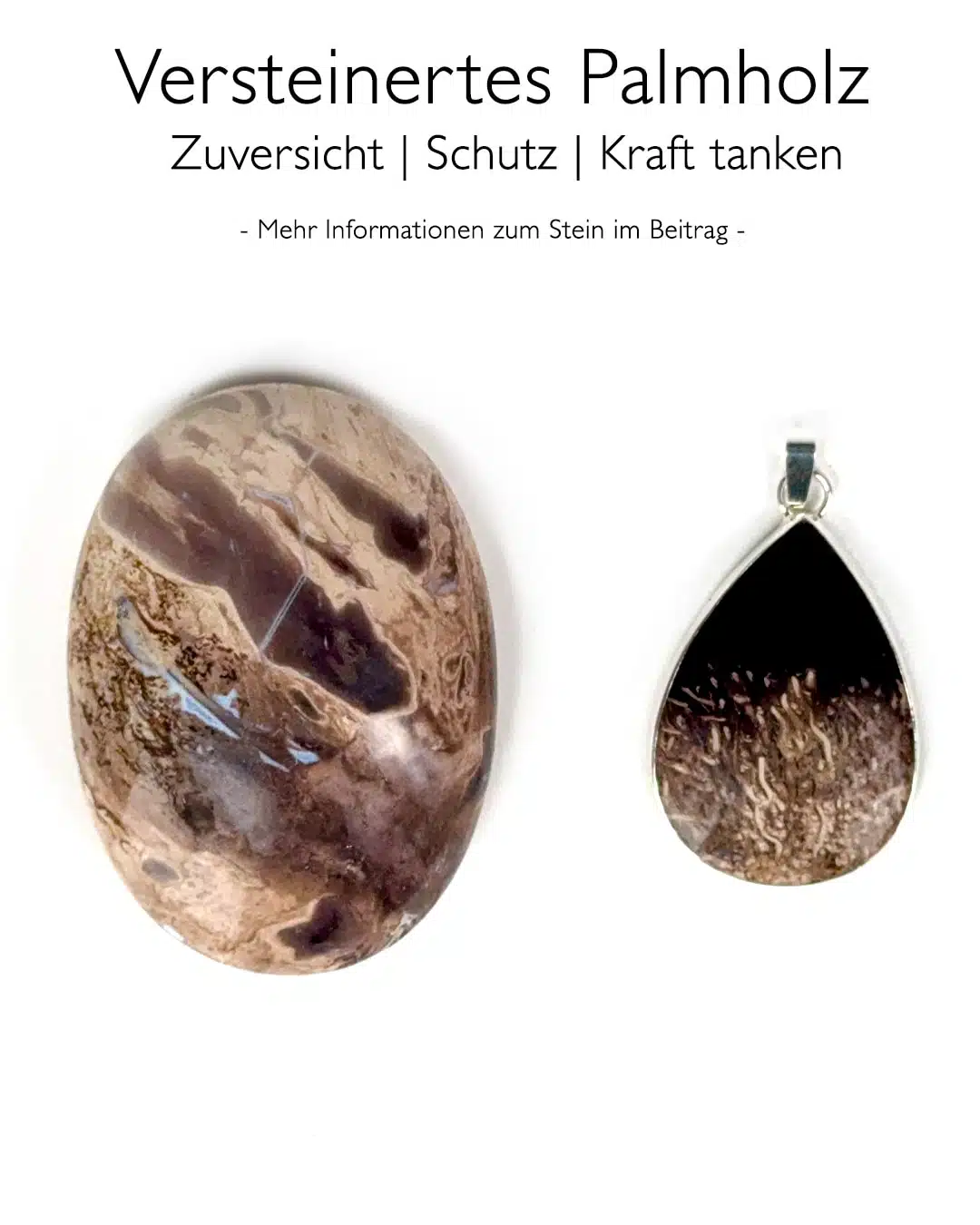 Versteinertes Palmholz Ketten-Anhänger