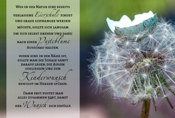 Wer in der Natur eine verlassene Eierschale findet und schwanger werden möchte, sollte sich langsam um sich selbst drehen und dabei nach einer Pusteblume Ausschau halten. Ist eine in der Nähe, so legt man die Schale sanft darauf, schließt die Augen und denkt fest an den Kinderwunsch. Dann pustet man alles zusammen fort.