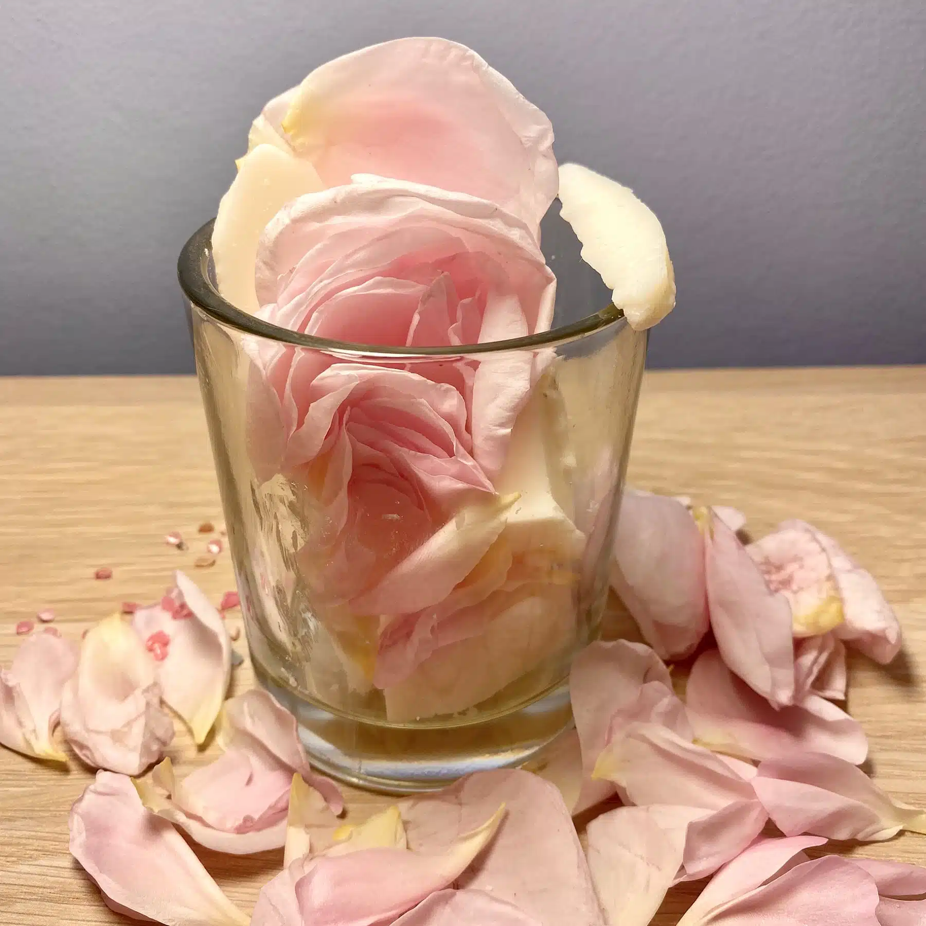 Rosengewächse - Rosaceae Rosengarten-Kerze Herstellung