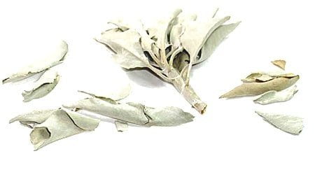 Sage - weißer Salbei - Indianer-Salbei - White Sage