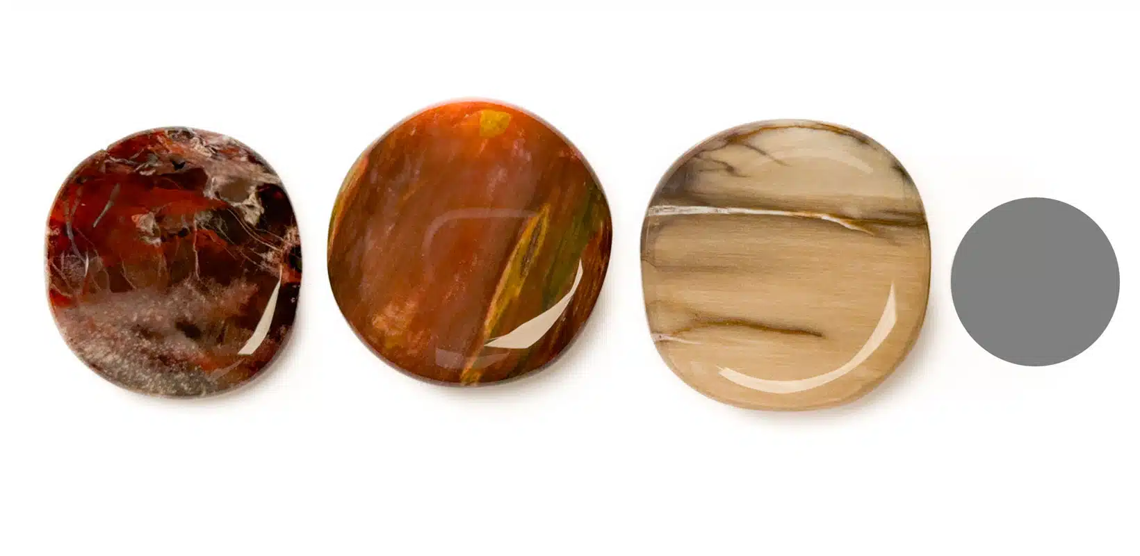 Scheibenstein Versteinertes Holz