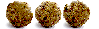 Seedbombs