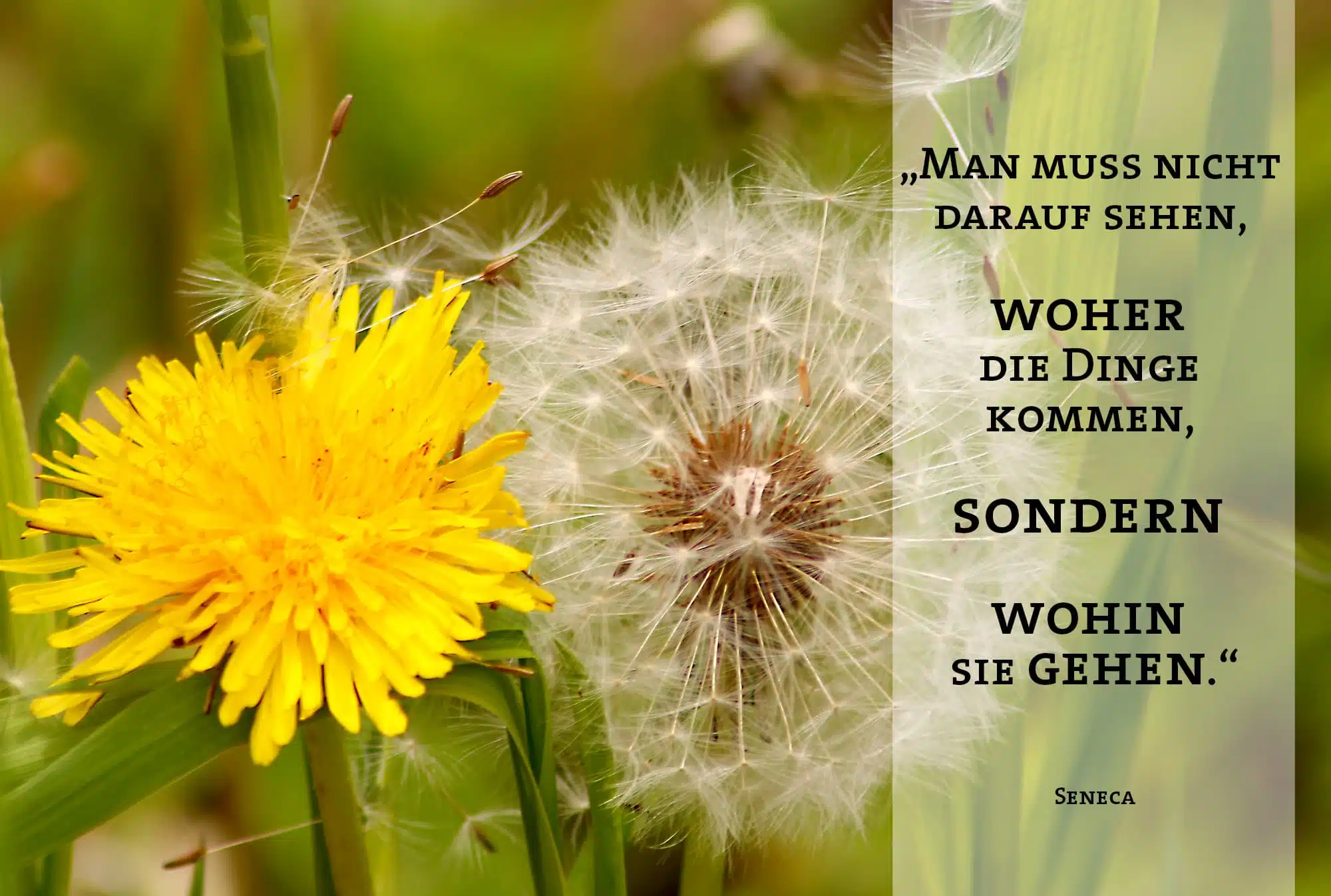 Sommersonnenwende 20. / 21. Juni