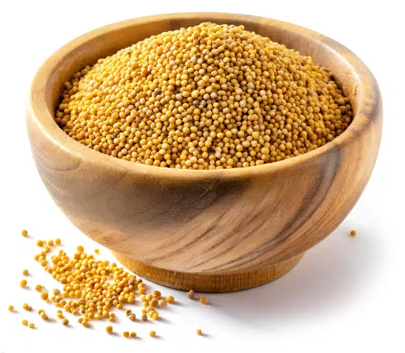 Senfkörner in der Magie Senfkörner in der Magie