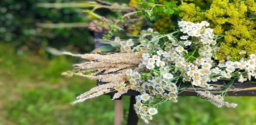 Magischer Sommer-Spaziergang