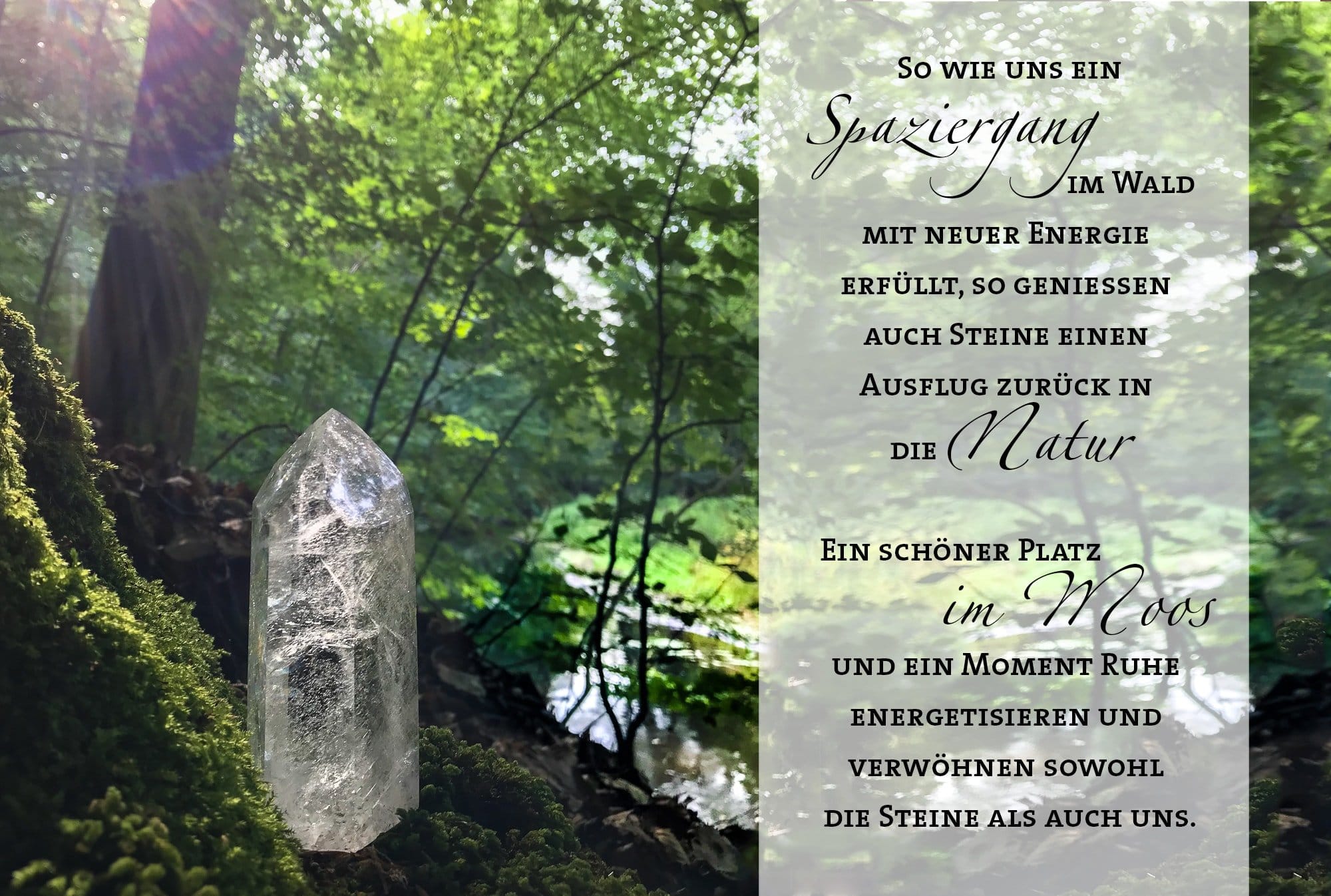 Steine im Wald … So wie uns ein Spaziergang im Wald mit neuer Energie erfüllt, so genießen auch Steíne einen Ausflug zurück in die Natur. Ein schöner Platz im Moos und ein Moment Ruhe energetisieren und verwöhnen sowohl die Steine als auch uns.