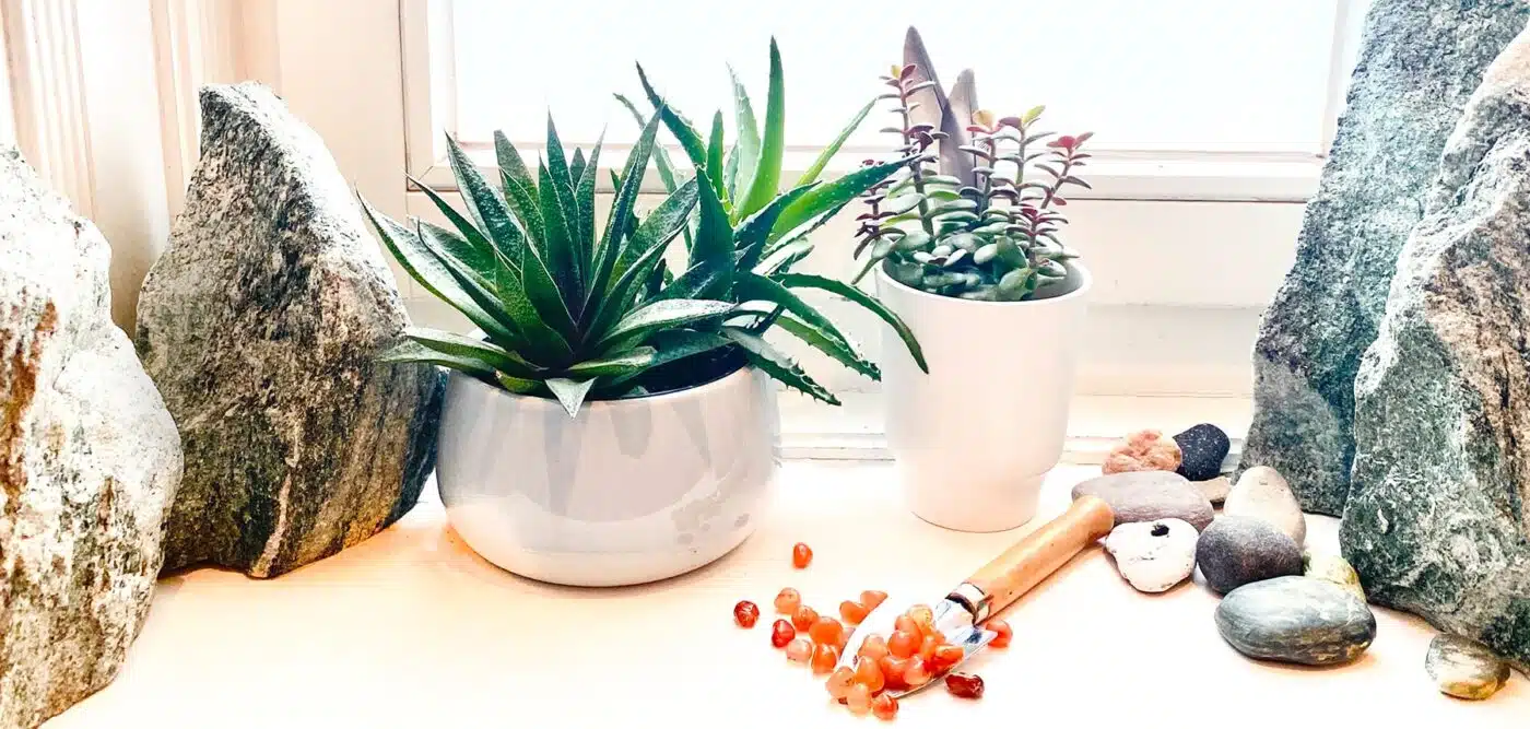 Über die Arbeit mit Kraftsteinen Kraftsteine und Pflanzen – eine magische Verbindung!