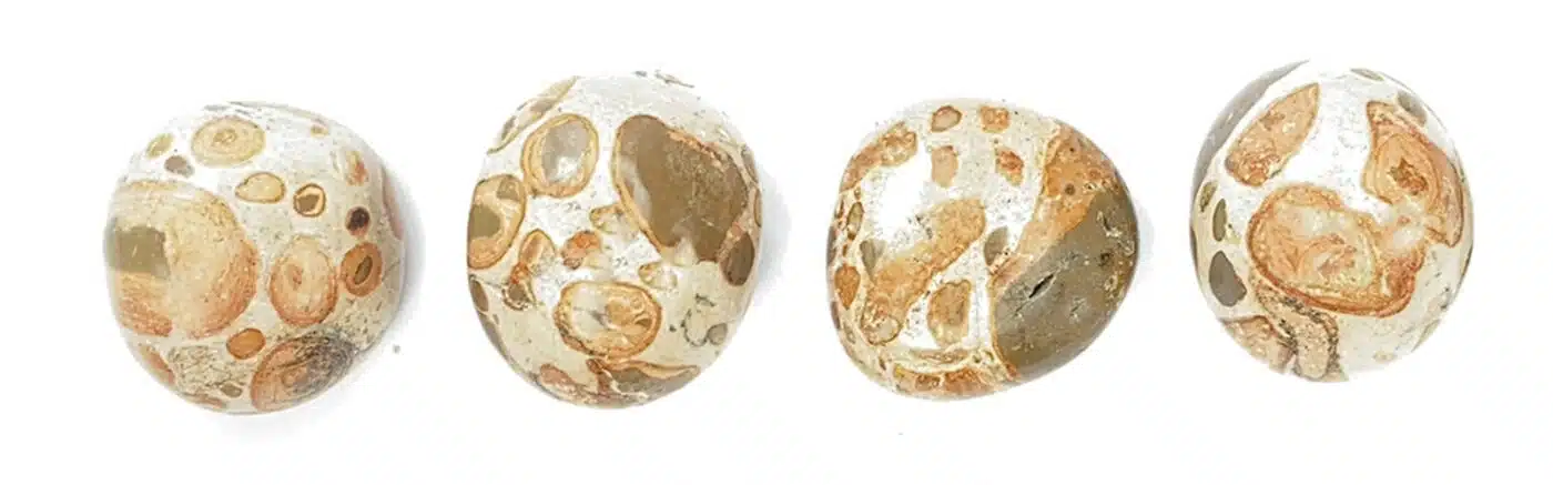 Steinwissen: Leopardit