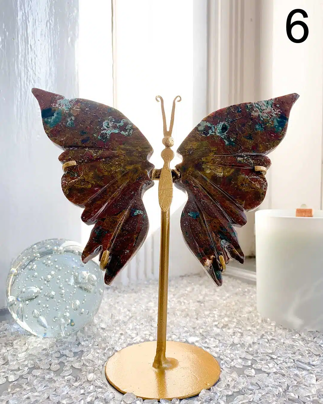 Sumatra-Moosachat-Schmetterlings-Fluegel-6