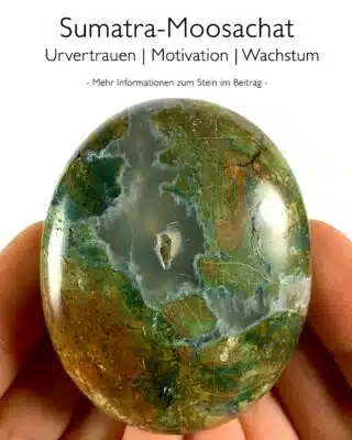 Sumatra-Moosachat