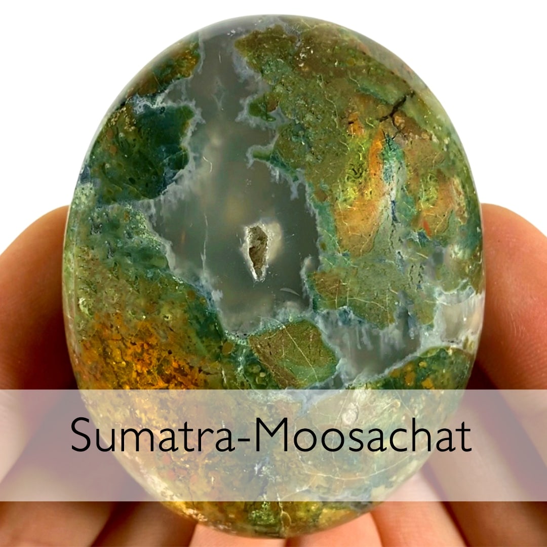 Sumatra-Moosachat