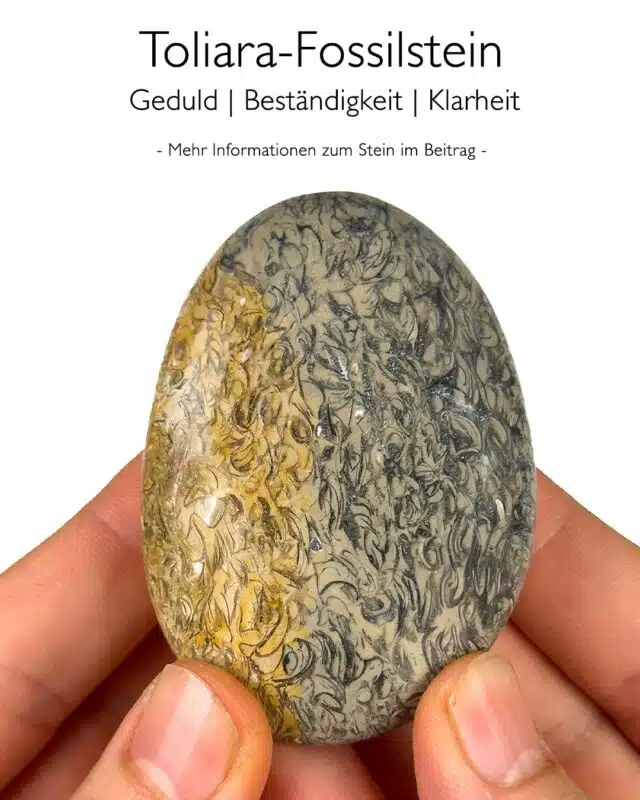 Toliara-Fossilstein - Wirkung
