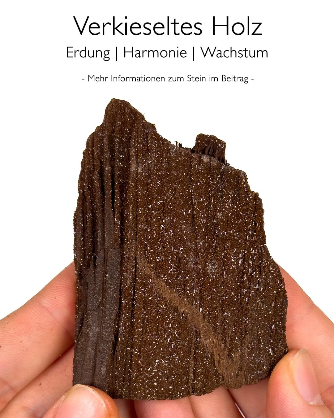 Verkieseltes Holz - Makrokiristallin