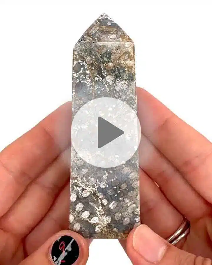 Versteinerte-Koralle-9