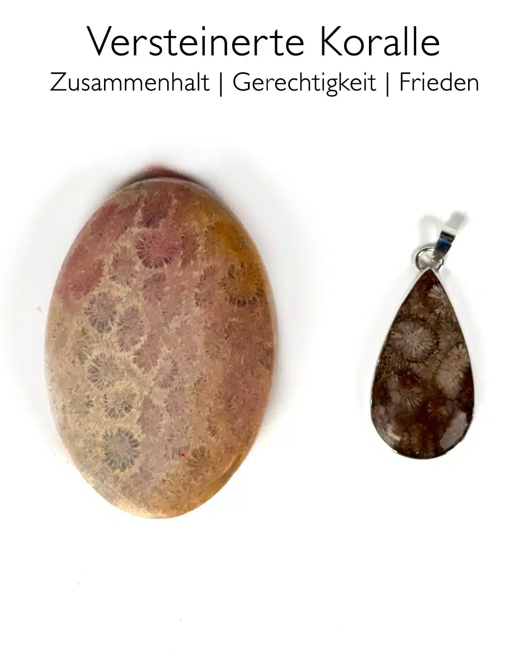 Versteinerte Koralle Ketten-Anhänger