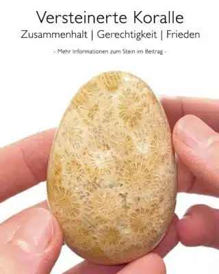 Versteinerte Koralle - Wirkung