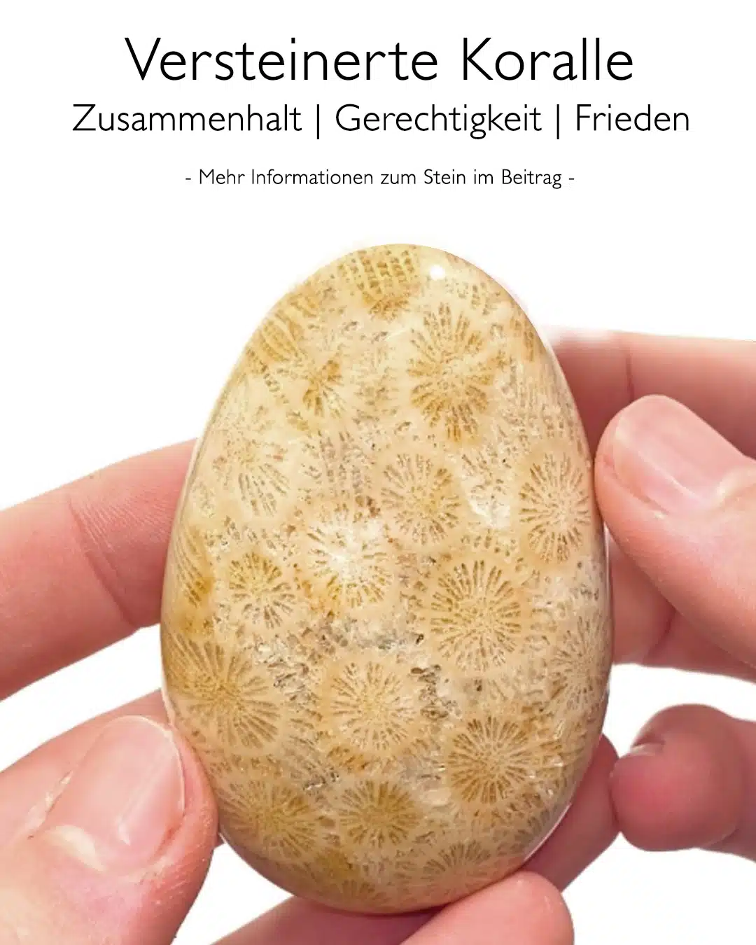 Versteinerte Koralle - Wirkung
