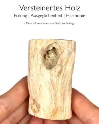 Versteinertes Holz - Wirkung