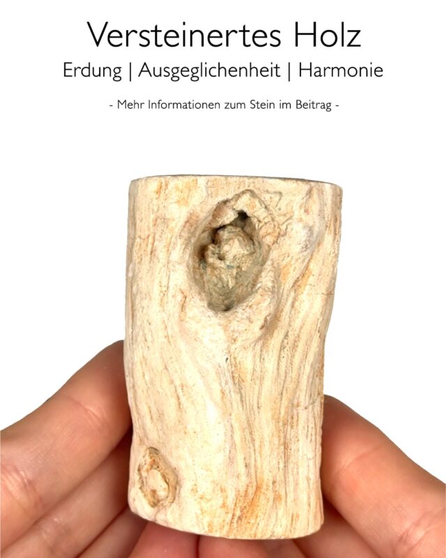 Versteinertes Holz - Wirkung