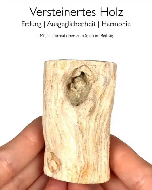 Versteinertes Holz - Wirkung