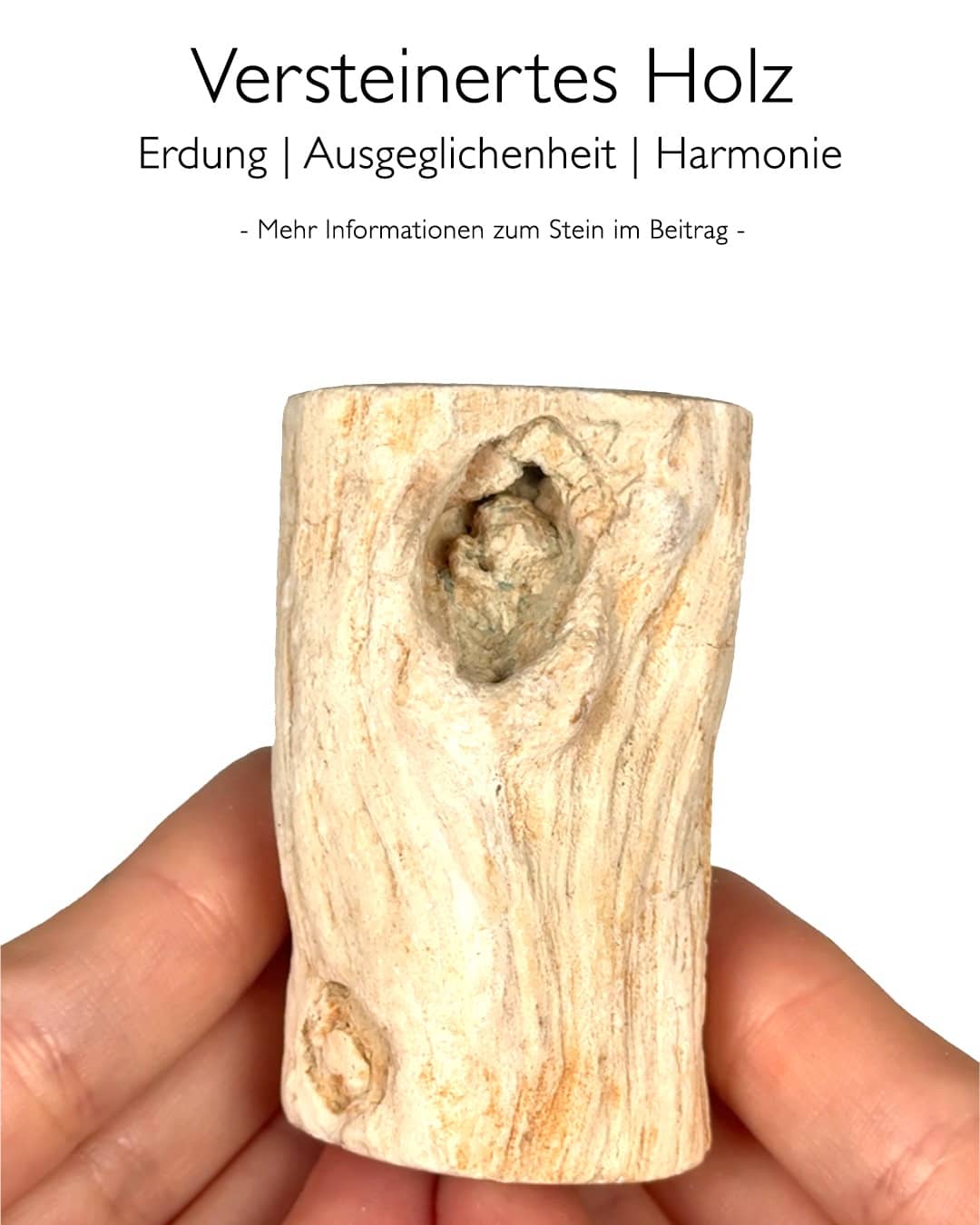 Versteinertes Holz - Wirkung