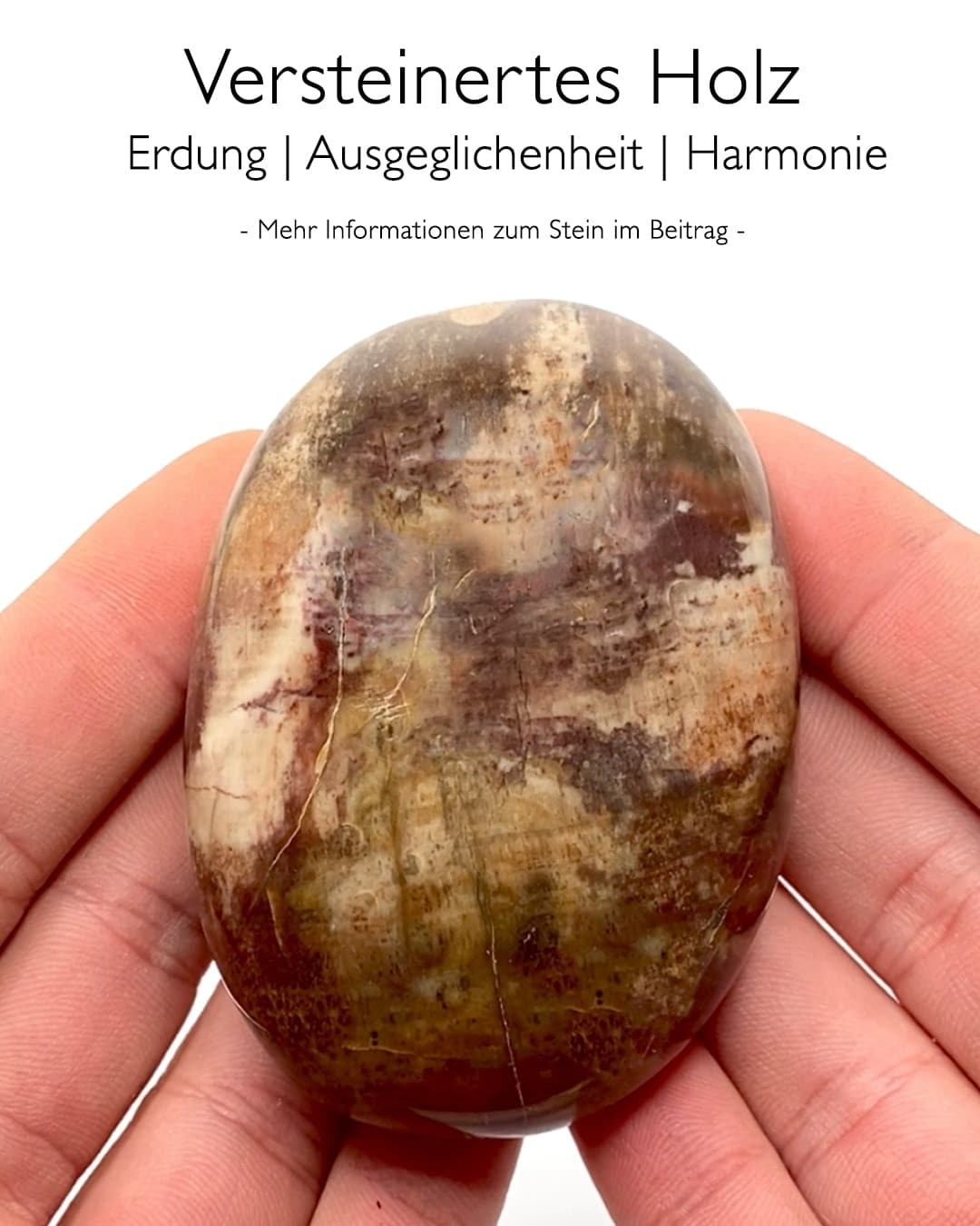 Versteinertes Holz - Wirkung Versteinertes Holz - Wirkung